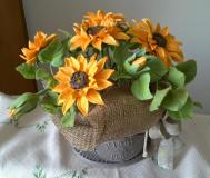 IMG_20161027_1557022